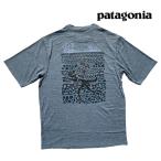 PATAGONIA パタゴニア キャプリーン クール デイリー グラフィック シャツ CAPILENE COOL DAILY GRAPHIC SHIRT BEPX BIG OIL: PLM GRY X 45235