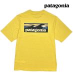 PATAGONIA パタゴニア キャプリーン クール デイリー グラフィック シャツ CAPILENE COOL DAILY GRAPHIC SHIRT -WATERS BOYX 45355