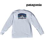 PATAGONIA パタゴニア フィッツ ロイ ホライゾン レスポンシビリティー LONG SLEEVE FITZ ROY HORIZONS RESPONSIBILI-TEE WHI WHITE 38514 長袖