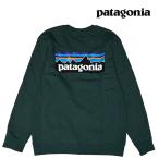 日本未発売品 PATAGONIA パタゴニア P-6 ロゴ アップライザル クルー スウェットシャツ P-6 LOGO UPRISAL CREW SWEATSHIRT CASG CASCADE GREEN 39657