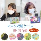 ★3枚セット マスクケース 携帯用 使いかけ 仮置き マスク入れ 洗える 軽量 防水 PP 折りたたみ