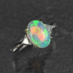 ���ѡ��� ���� ��� 12�� 1ct 1����åȥ����С� ��������� 0.1ct �ץ���� ��ǥ����� �����ȥ��