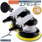 エアサンダー 2個セット 空気圧 ダブルアクション