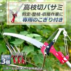  обрезка на высоком месте basami3 шт. комплект трос тип обрезка на высоком месте пила высота ветка пила обрезка на высоком месте basami высота ветка порез . легкий ножницы садоводство обрезка плоды . брать ветка порез зажим садоводство 