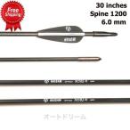  стрельба из лука для соревнований стакан волокно производства стакан волокно Arrow 6pcs