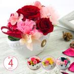 ÃÙ¤ì¤Æ¤´¤á¤ó Êì¤ÎÆü ¥®¥Õ¥È GIFT ²Ö °û¤à¤ª¿Ý ¥®¥Õ¥È¥×¥ì¥¼¥ó¥È ¥Õ¥ë¡¼¥Ä¥Ó¥Í¥¬¡¼ ¥É¥ê¥ó¥¯ ²Ì¼ÂÆþ¤ê Á÷ÎÁ̵ÎÁ ¤¢¤¹¤Ä¤¯ ´Ö¤Ë¹ç¤¦
