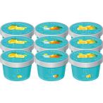 ショッピングお中元 アイス お歳暮 お返し 内祝い ギフト アイスクリーム ザ・スウィーツ日本の柑橘シャーベット 9個  送料無料