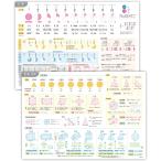 お風呂ポスター 分数 立体 算数 数学 平面の基本 （2枚セット） 小、中学生までにマスターしたい A2 サイズ (60×42cm) ノートライフ 防水