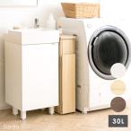 スリムダストボックスSantia3...
