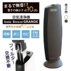 空気清浄機 フィルター交換なし イオニックブリーズ Ionic Breeze GRANDE グランデ 40畳 フィルターレス 静音 花粉 ウイルス 対策 ホコリ 消臭 ER  RL