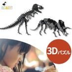 3Dパズル 恐竜 ペーパークラフト トリケラトプス ティラノサウルス 集中力UP 知育玩具 模型 工作 プレゼント 販売促進 ノベルティ FR11643 FR11642