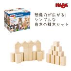 積み木 木製 知育 遊び HABA ハバ ブ