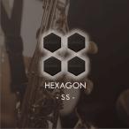  Ad power Sonic Hexagon [SS size ]4 sheets entering AdPower Sonic sound quality improvement musical instruments audio audio accessory reko- DIN g engineer ..