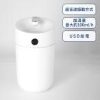 卓上加湿器 USB給電 大容量 感染対策 乾燥対策 ウイルス対策 格安 卓上USB加湿器ダブルミスト 2.5L