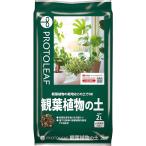  декоративное растение. земля 2L Pro to leaf . покупка 
