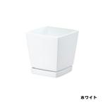 kenchi low pot plate есть 5 номер белый ширина 115× высота 120× глубина 115mm Yamato пластик горшок посадочная машина . покупка 