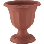  Queen cup D-28 type Brown Apple одежда - глубокий type ivy зеленый колье горшок посадочная машина 