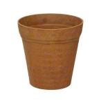 k Ray pot nachu-ru6 номер Brown 172mm×172mm×190mm оливковый декоративное растение . покупка 