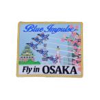 ブルーインパルス Fly in OSAK