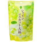  futoshi ../ автомобиль in мускат большой удача подставка упаковка / 130g/ временные ограничения до 60 день не достиг 