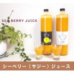 ¥°¥¢¥Þ¥é¥ë ¥·¡¼¥Ù¥ê¡¼¥¸¥å¡¼¥¹¡Ê¥µ¥¸¡¼¡Ë 720ml