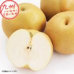 佐賀県産 伊万里梨(豊水梨) 5kg 4L 12玉 梨 なし ナシ 豊水梨 伊万里 佐賀産 佐賀県 さが サガ 果物 フルーツ くだもの お取り寄せ お取寄せ グルメ