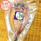 勝山商店 真あじ開き