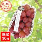  черный автомобиль in мускат [ Fuji. блестящий ]1.4kg(2. входить ) Kirishima Sakura фрукты Land 