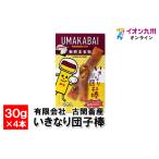 いきなり団子棒 30g×4�