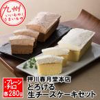 ショッピングチーズケーキ 押川春月堂本店　とろける生チーズケーキセット