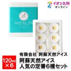 阿蘇天然アイス 人気の定番6種セット