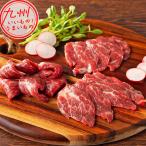 フジチク ふじ馬刺し 霜降りセット (中トロ トロ)各80g×1