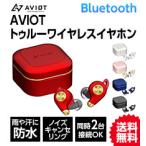 AVIOT アビオット ワイヤレスイヤホン Bluetooth ノイズキャンセリング 防水 マルチポイント 通話 トゥルーワイヤレスイヤホン TE-D01q2 送料無料