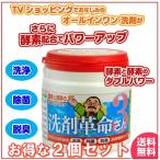 2個セット 掃除 万能 クリーナー洗剤革命3 300g