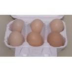 烏骨鶏有精卵・6個入り￥2,330円　放し飼い自然産卵の貴重な卵。卵かけご飯に美味しい卵＝栄養補給と健康維持に！