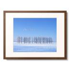 [ Hokkaido * Ikeda блок туман лед. ka лама tsu. средний дерево ]