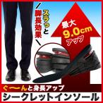 ショッピングインソール シークレットインソール シークレット インソール 身長アップ 脚長効果 靴 中敷き かかと 上げ底 ヒール 最大9ｃｍUP