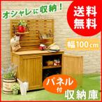  panel имеется шкаф 100 YB-202NW100