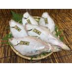  Shimane производство .....5 хвост 