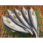  Hokkaido производство san .. открытие 5 хвост 