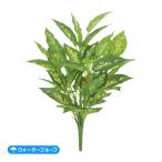 ウォータープルーフディーフェンバキアプラント(S) LEB-8274-S／フ…
