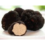毎週空輸にて産地直送！ イタリア産 フレッシュ オータムトリュフ(秋トリュフ) ２００ｇ