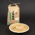 [令和5年産新米予約]米食味コンクールで金賞を受賞した戸田さんの杭掛け天日干し無農薬特別栽培コシヒカリ（玄米）５ｋｇ