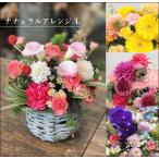 生花アレンジメント/L 父の日 誕生日 お供え お見舞い 結婚祝い