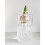 水栽培ガラスベース クリア ロング BULB VASE