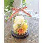 プリザーブドフラワー 花 誕生日 お見舞い プレゼント「ガラスドーム/イエローローズ」
