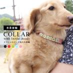 犬 首輪 犬の首輪 名前入り おしゃ�