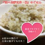 「楽々発芽玄米・優」2kg真空パック5個詰 | 無農薬米・巨大胚芽米「はいごころ」を特殊精米