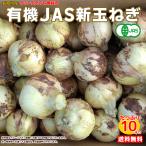 有機新玉ねぎ 10kg箱 有機JAS 送料無料
