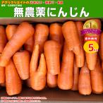 ショッピング野菜ジュース 無農薬人参ジュース用洗い5kg